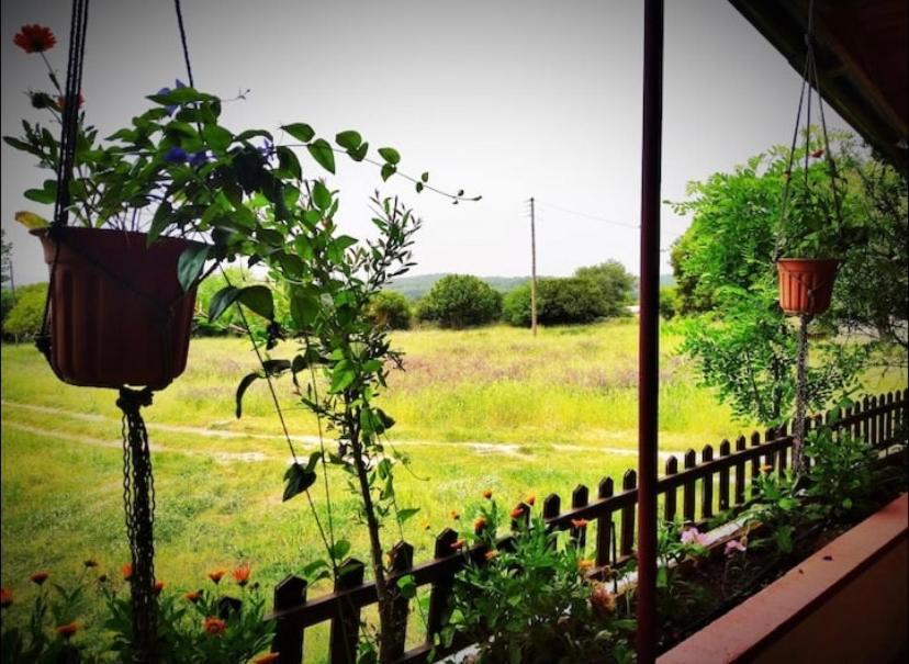 The Happy Cottage Ioannina Exterior foto